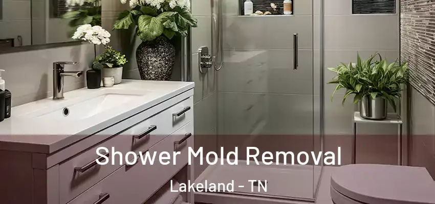  Shower Mold Removal Lakeland - TN