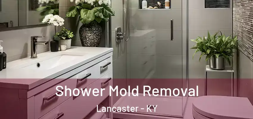 Shower Mold Removal Lancaster - KY