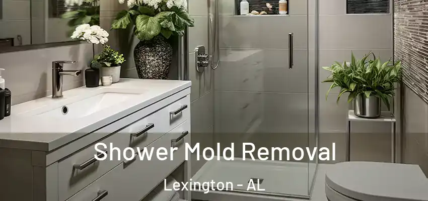 Shower Mold Removal Lexington - AL