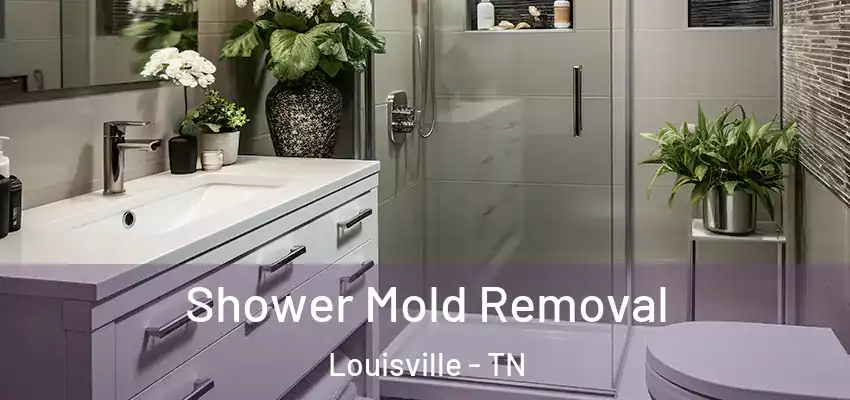 Shower Mold Removal Louisville - TN