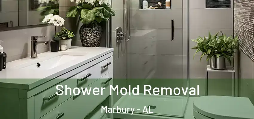 Shower Mold Removal Marbury - AL