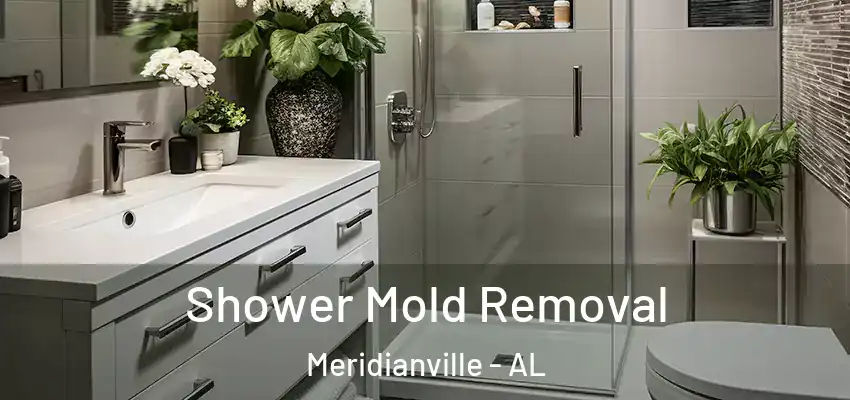  Shower Mold Removal Meridianville - AL