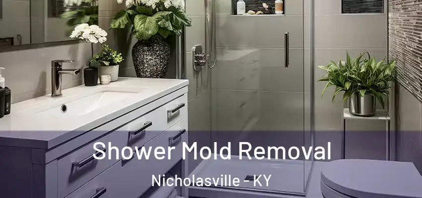  Shower Mold Removal Nicholasville - KY