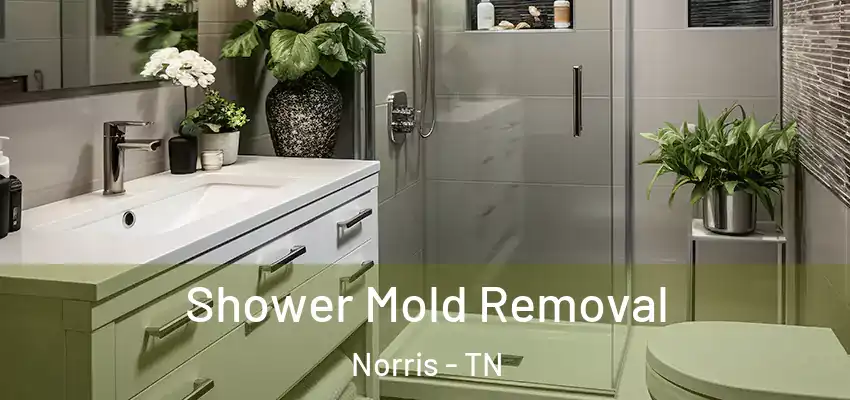  Shower Mold Removal Norris - TN
