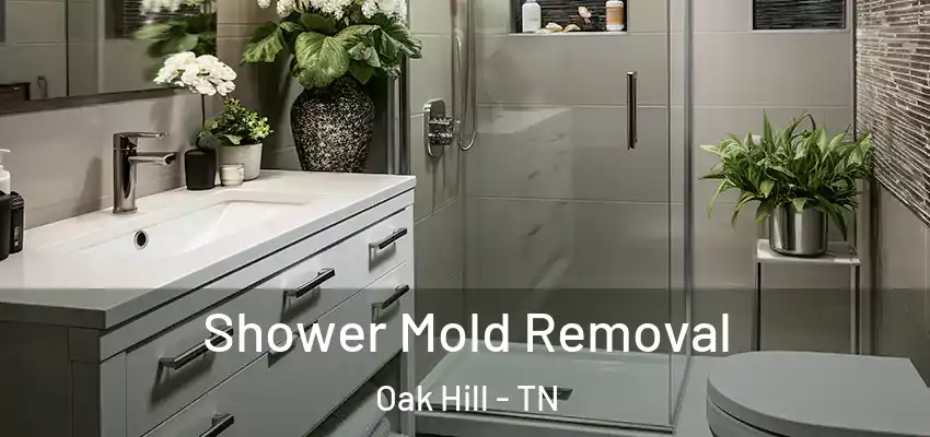 Shower Mold Removal Oak Hill - TN