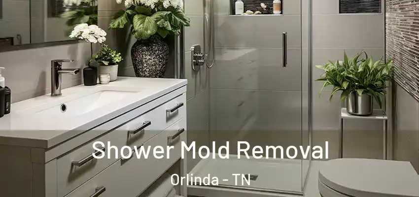 Shower Mold Removal Orlinda - TN