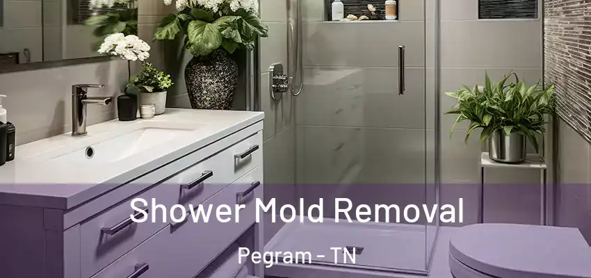  Shower Mold Removal Pegram - TN