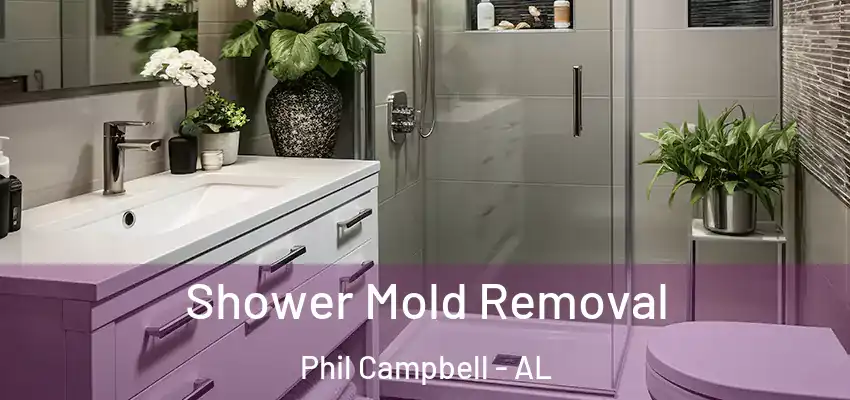  Shower Mold Removal Phil Campbell - AL
