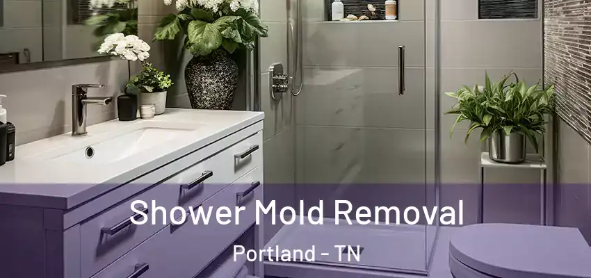 Shower Mold Removal Portland - TN
