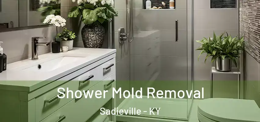 Shower Mold Removal Sadieville - KY