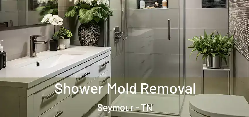 Shower Mold Removal Seymour - TN