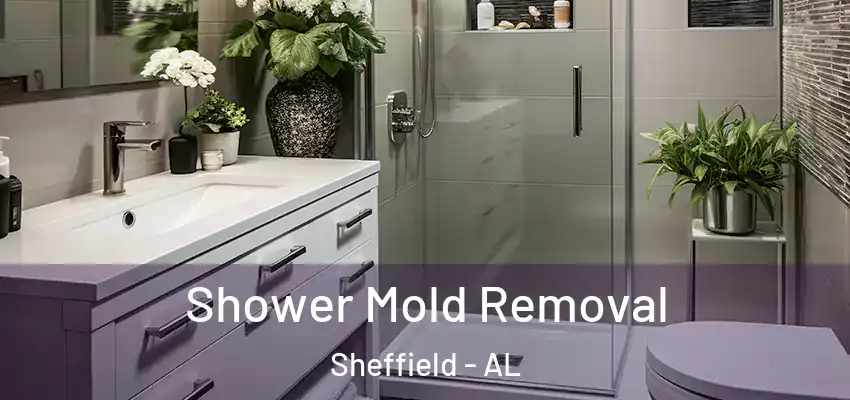 Shower Mold Removal Sheffield - AL