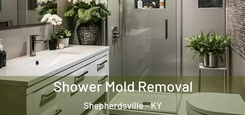  Shower Mold Removal Shepherdsville - KY