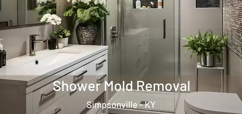 Shower Mold Removal Simpsonville - KY