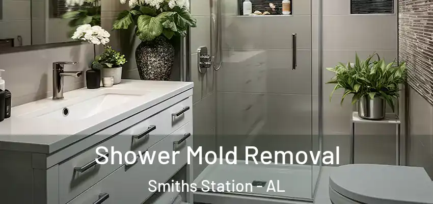  Shower Mold Removal Smiths Station - AL