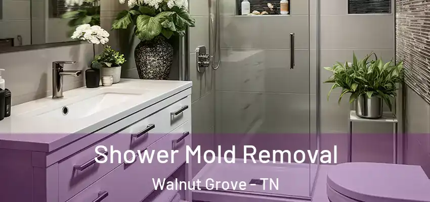 Shower Mold Removal Walnut Grove - TN