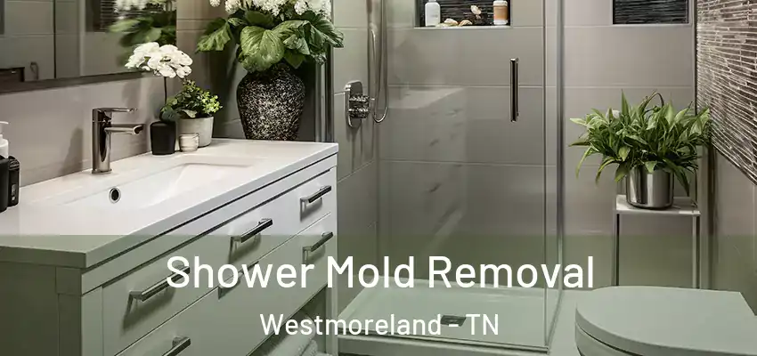  Shower Mold Removal Westmoreland - TN