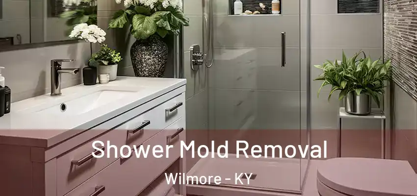  Shower Mold Removal Wilmore - KY