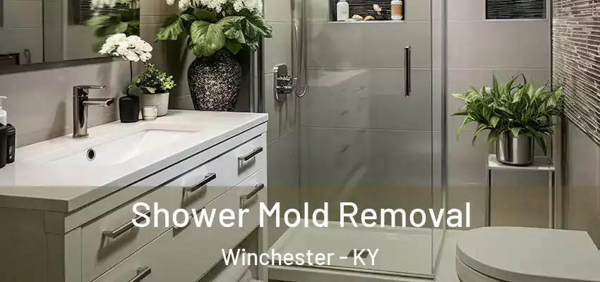  Shower Mold Removal Winchester - KY
